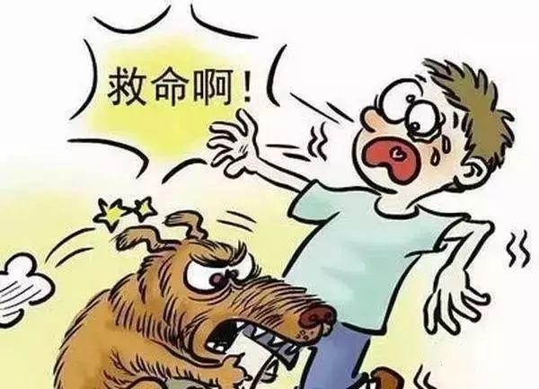 网红蹭课流浪狗却带来了极大风险……宜兴铲屎官们养犬要注意这些！